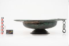 Foto von Bronzebreitrandfußschale (NHMW-PRAE-025521)